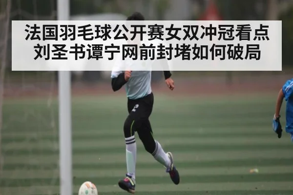 法国羽毛球公开赛女双冲冠看点 刘圣书谭宁网前封堵如何破局